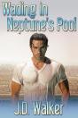 Wading In Neptune'S Pool - Preview