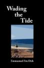 Wading The Tide - Preview