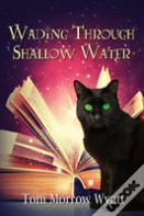 Wading Through Shallow Water