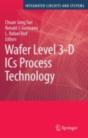 Wafer Level 3-D Ics Process Technology - Preview