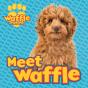 Waffle The Wonder Dog - Preview