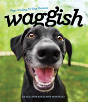 Waggish - Preview