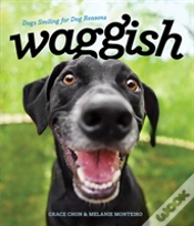 Capa do artigo Waggish