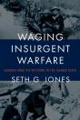 Waging Insurgent Warfare - Preview