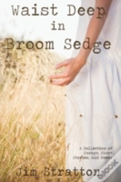 Capa do artigo Waist Deep In Broom Sedge