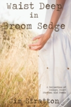 Capa do artigo Waist Deep In Broom Sedge