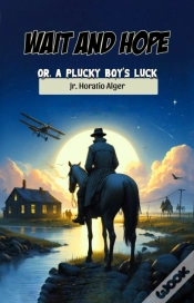 Capa do artigo Wait And Hope Or, A Plucky Boy