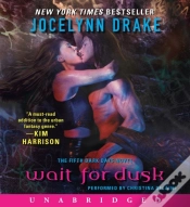 Capa do artigo Wait For Dusk