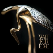 Capa do artigo Wait For Love - CD