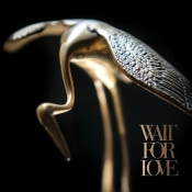 Capa do artigo Wait For Love - Vinil