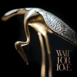 Capa do artigo Wait For Love - Vinil