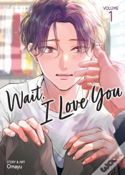 Capa do artigo Wait, I Love You Vol. 1
