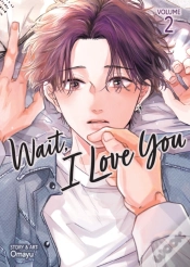 Capa do artigo Wait, I Love You Vol. 2