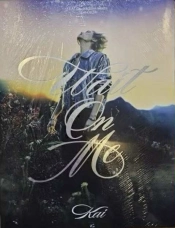 Capa do artigo Wait On Me - CD