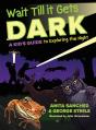 Wait Till It Gets Dark - Preview