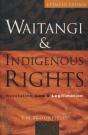 Waitangi And Indigenous Rights - Preview
