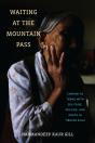 Waiting At The Mountain Pass - Preview