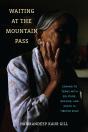 Waiting At The Mountain Pass - Preview