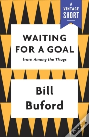 Capa do artigo Waiting For A Goal