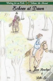 Capa do artigo Waiting For An Echo Volume 2: Echoes At Dawn