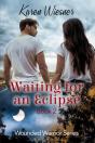 Waiting For An Eclipse - Preview