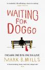 Waiting For Doggo - Preview