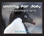 Waiting For Joey - Preview