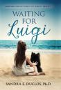 Waiting For Luigi - Preview