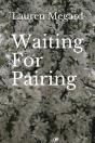 Waiting For Pairing - Preview