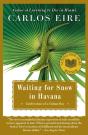 Waiting For Snow In Havana - Preview