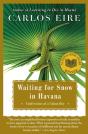Waiting For Snow In Havana - Preview