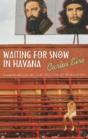 Waiting For Snow In Havana - Preview
