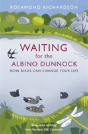 Waiting For The Albino Dunnock - Preview