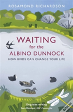 Capa do artigo Waiting For The Albino Dunnock