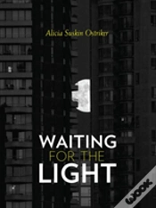 Capa do artigo Waiting For The Light