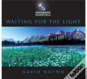 Capa do artigo Waiting For The Light