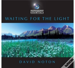 Capa do artigo Waiting For The Light