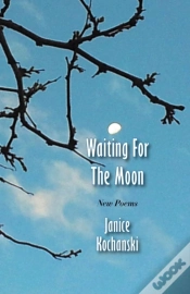 Capa do artigo Waiting For The Moon