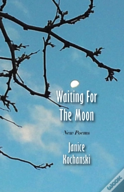 Capa do artigo Waiting For The Moon