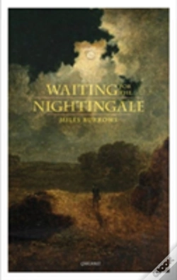 Capa do artigo Waiting For The Nightingale
