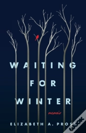 Capa do artigo Waiting For Winter