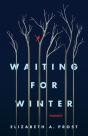 Waiting For Winter - Preview