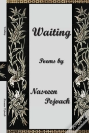 Capa do artigo Waiting