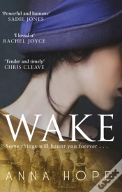 Capa do artigo Wake