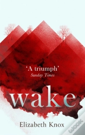 Capa do artigo Wake