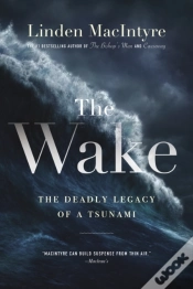 Capa do artigo Wake