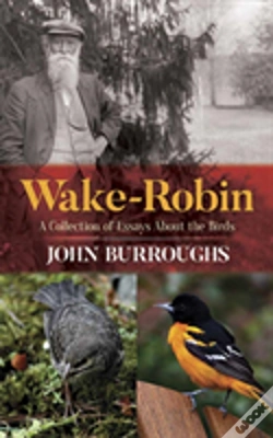 Capa do artigo Wake-Robin