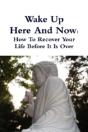 Wake Up Here And Now: How To Recover Your Life Before It Is Over - Preview