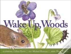 Capa do artigo Wake Up, Woods