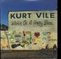 Wakin' On a Pretty Daze - Vinil - Preview